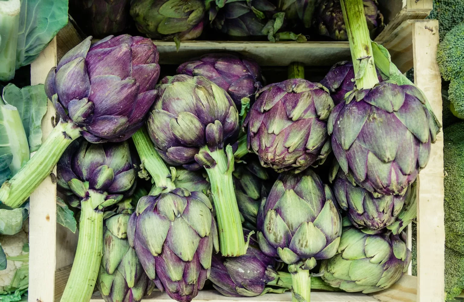 A Molfetta, Ricercatori a confronto sulle innovazioni in campo e nelle aziende agricole