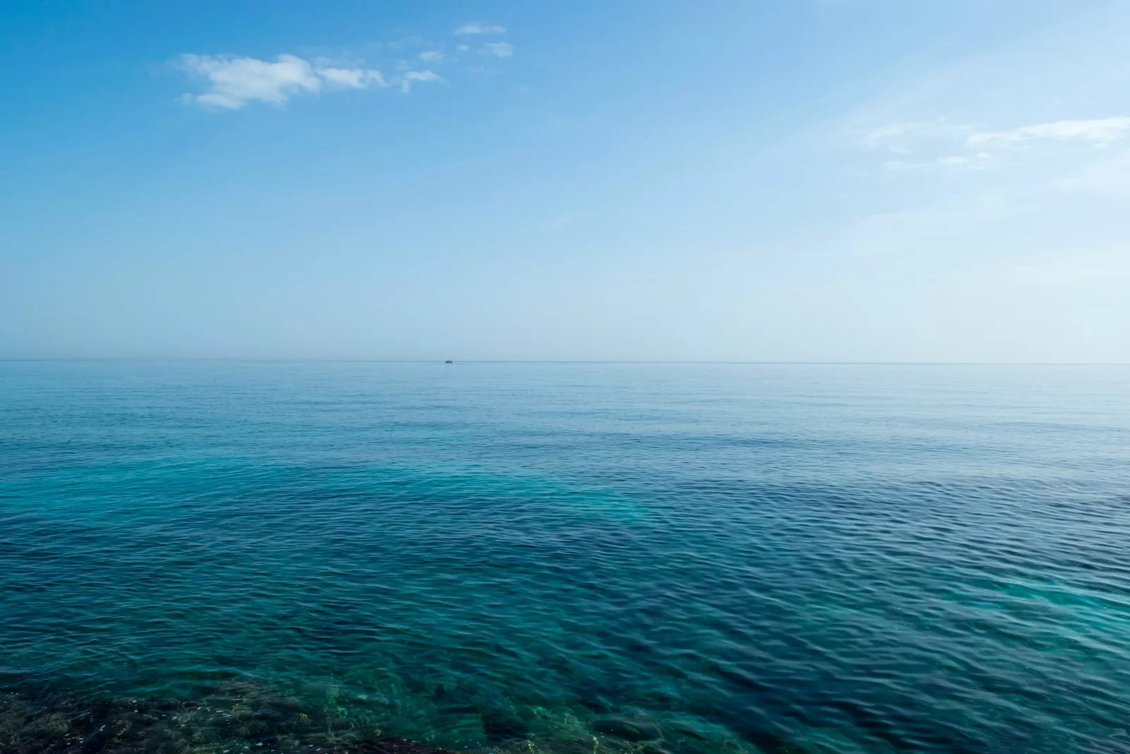 body of water during daytime