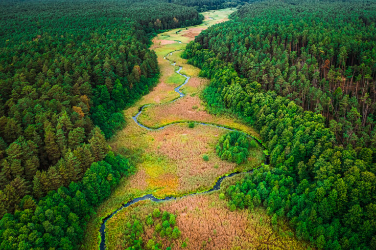 “Gestione rifiuti 2026: più controlli e tecnologia, ma l’emergenza discariche resta”