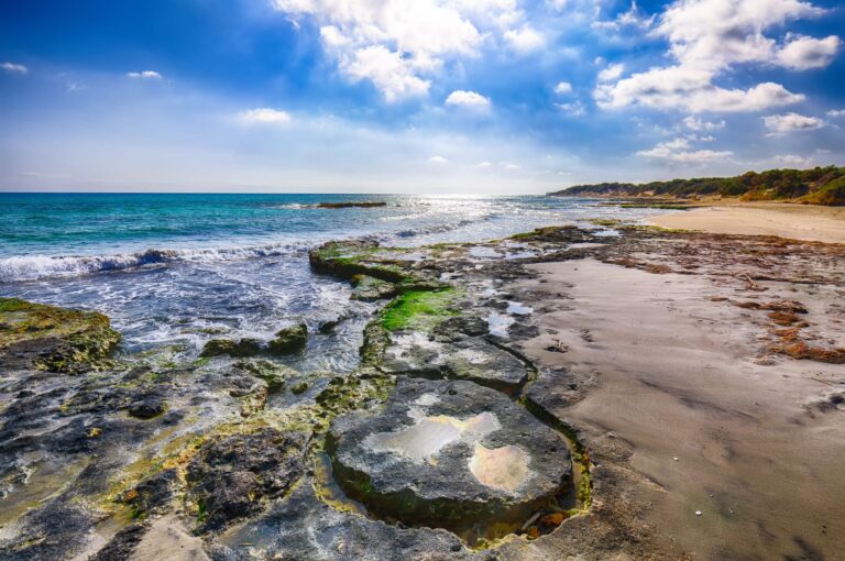 Erosione costiera, la Regione Puglia finanzia i primi interventi strutturali: oltre 16 milioni ai Comuni. ” La costa è una priorità”.